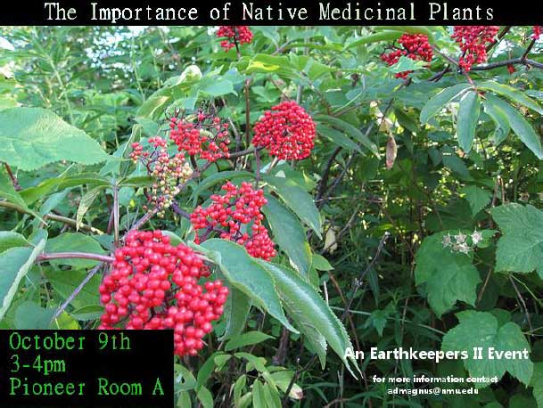 Native Medicinal Plants